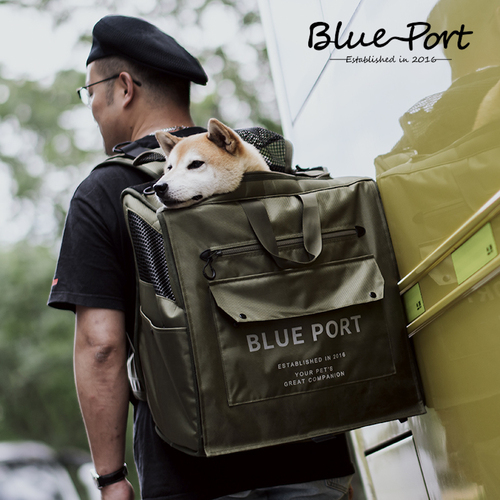Pet Carrier Dog Cat Travel Cage Foldable Hand Shoulder Bag Soft Crate Puppy    BluePort 