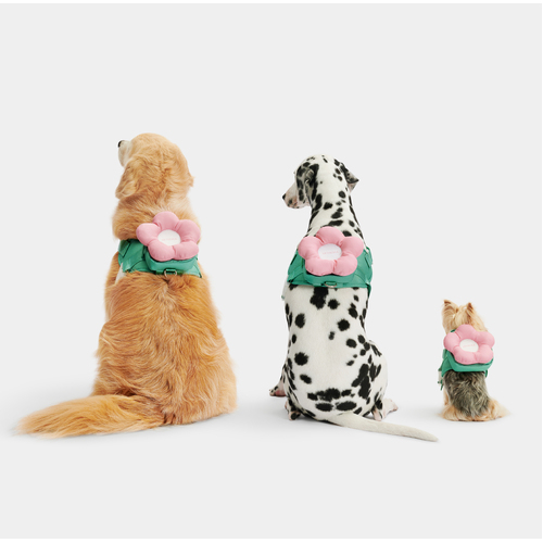 Dog Flora Harness Leash Set Cute Walk Collar Cat Puppy Kitten Pet Comfort Vetreska