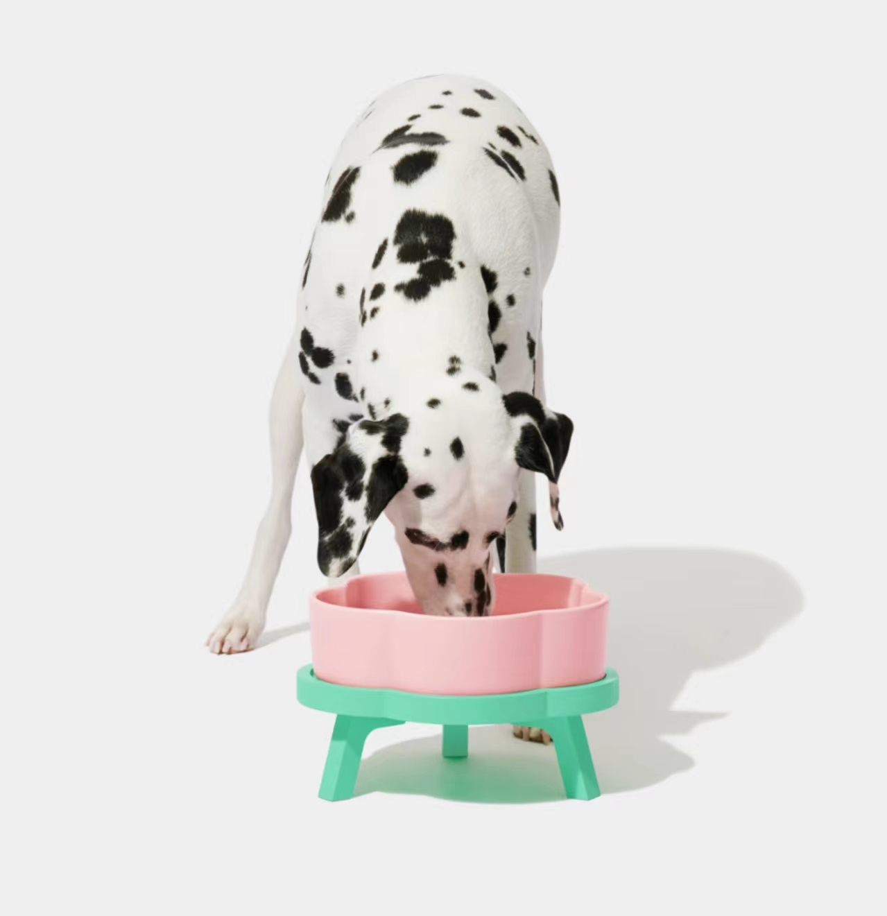 Is an Elevated Pet Feeder Good for My Dog or Cat?