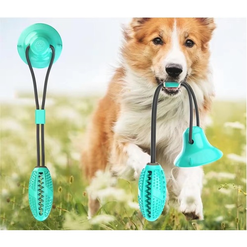 Pet Interactive Rubber Molar Bite Floor Suction Cup Dog Balls Puppy Chew Toys