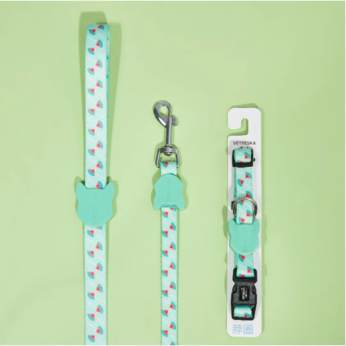 Pet Dog Cat Collar Leash Set Adjustable 2 Colors Vetreska [Colour: Green] [Size: M]